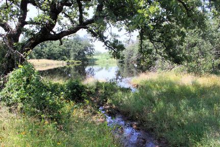 Timberland Property for sale in San Saba County, Texas
