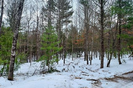 Timberland Property in Vilas County, Wisconsin