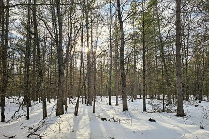 Hunting Property in Vilas County, Wisconsin