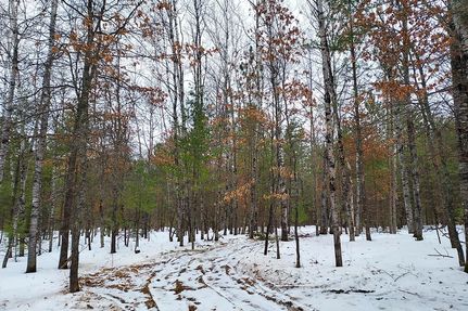 Hunting Property in Vilas County, Wisconsin