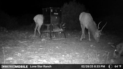 Farm and Ranch in Edwards County, Texas