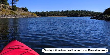 Undeveloped Land in Apache County, Arizona