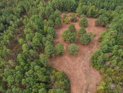 Timberland Property in Benton County, Tennessee