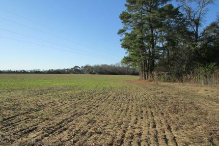 Farm and Ranch in Darlington County, South Carolina