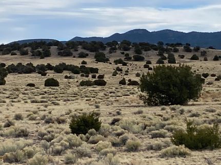 Land in Catron County, New Mexico