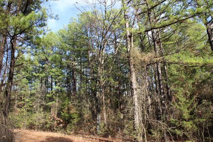 Recreational Property for sale in Marion County, Arkansas