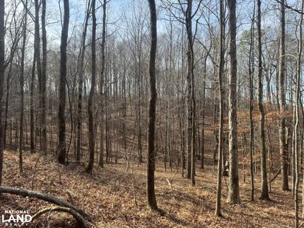 Recreational Property in Carroll County, Mississippi