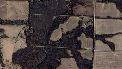 Undeveloped Land in Hancock County, Illinois