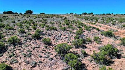 Farm and Ranch in Apache County, Arizona