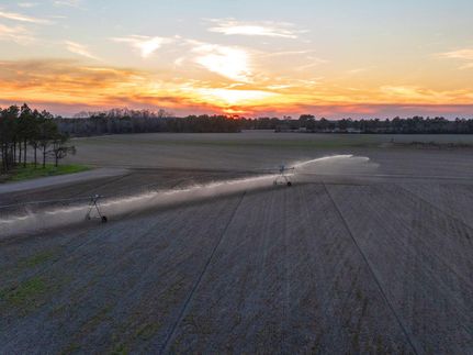 Farm and Ranch in Turner County, Georgia