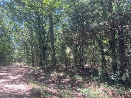 Undeveloped Land in Lamar County, Texas