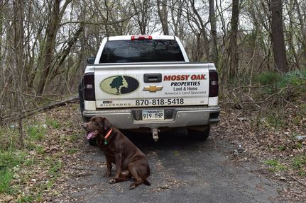Undeveloped Land in Phillips County, Arkansas