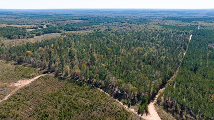 Hunting Property in Schley County, Georgia