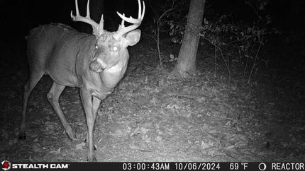 Timberland Property for sale in Champaign County, Ohio