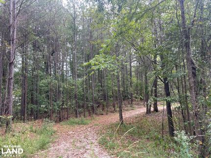 Hunting Property in Tuscaloosa County, Alabama