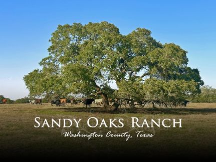 Farm and Ranch for sale in Washington County, Texas