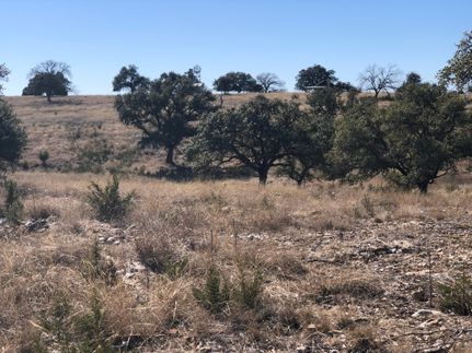 Recreational Property for sale in Gillespie County, Texas