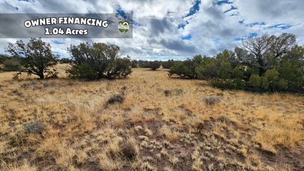 Undeveloped Land in Apache County, Arizona