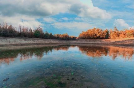 Timberland Property for sale in Erath County, Texas