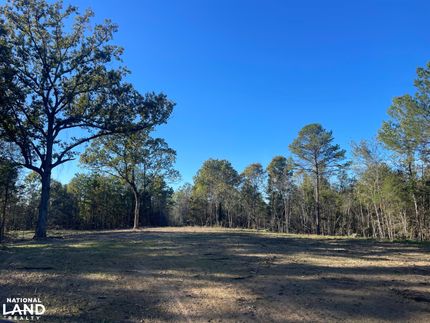 Hunting Property in Tuscaloosa County, Alabama