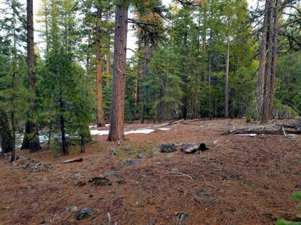 Farm and Ranch in Modoc County, California