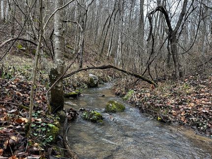 Land in Scott County, Virginia