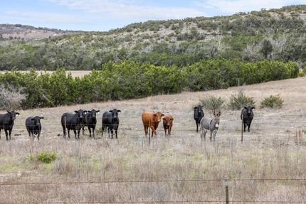 Hunting Property in Blanco County, Texas