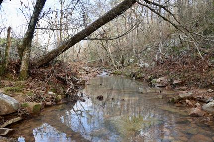 Undeveloped Land in Le Flore County, Oklahoma