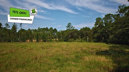 Undeveloped Land in Putnam County, Florida