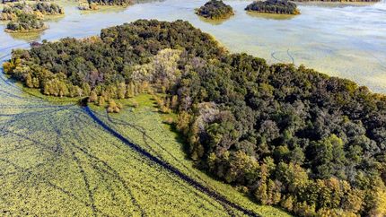 Farm and Ranch in Leon County, Florida