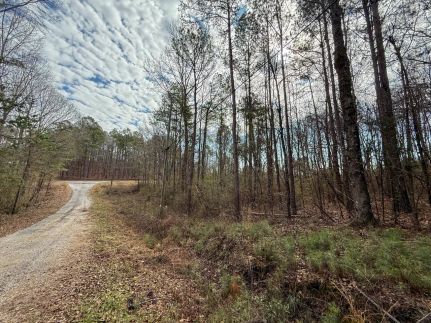 Homesite for sale in Shelby County, Alabama