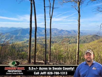 Timberland Property for sale in Swain County, North Carolina