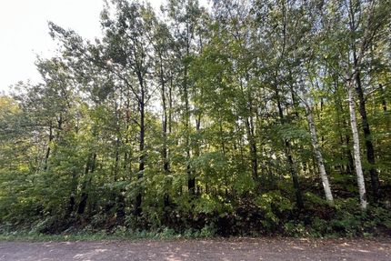 Undeveloped Land in Mille Lacs County, Minnesota