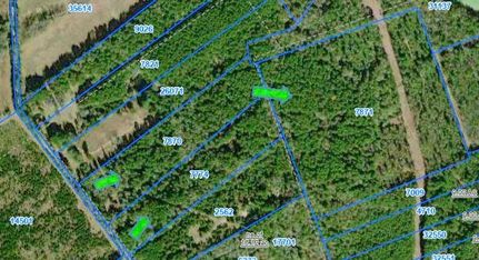 Undeveloped Land for sale in Houston County, Texas