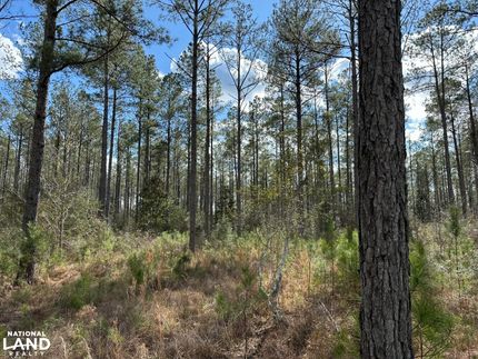 Recreational Property in Choctaw County, Alabama