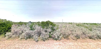Undeveloped Land in Live Oak County, Texas