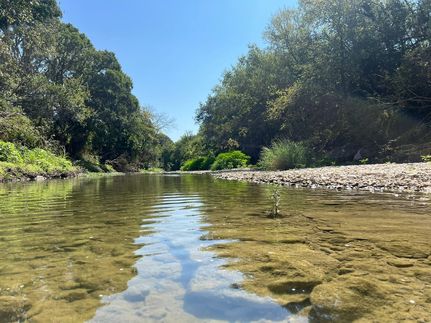 Farm and Ranch in McLennan County, Texas