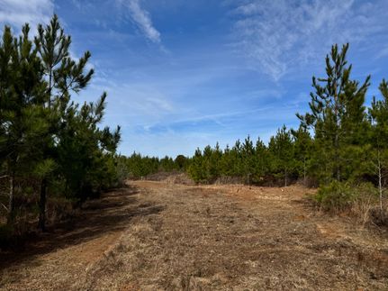 Land in Schley County, Georgia