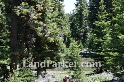 Undeveloped Land in Modoc County, California