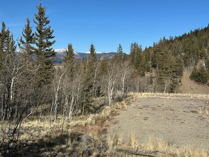 Undeveloped Land for sale in Park County, Colorado