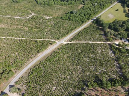 Hunting Property in Kershaw County, South Carolina