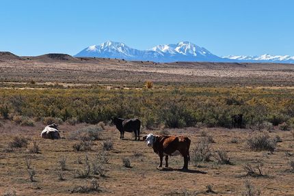 Land for sale in Huerfano County, Colorado