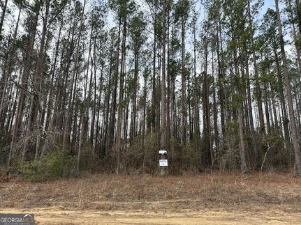 Land in Toombs County, Georgia