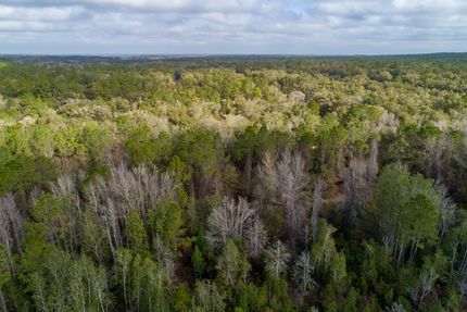 Homesite for sale in Putnam County, Florida