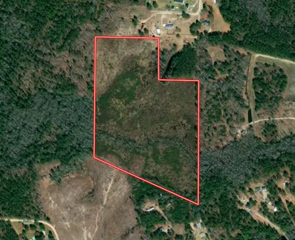 Undeveloped Land in Harnett County, North Carolina