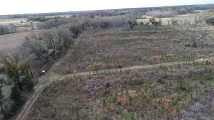 Timberland Property in Jackson County, Florida