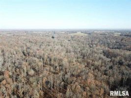 Timberland Property in Williamson County, Illinois