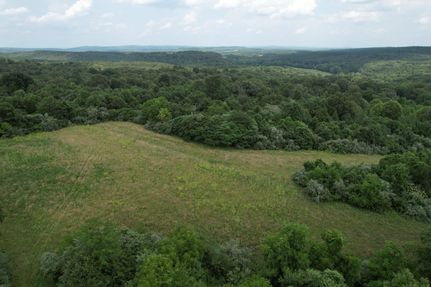 Farm and Ranch in Saline County, Illinois