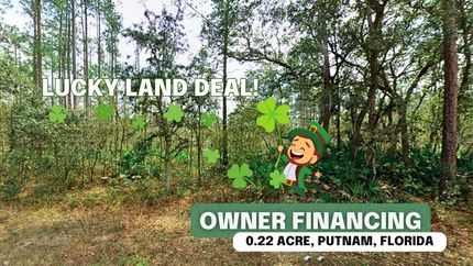 Undeveloped Land in Putnam County, Florida