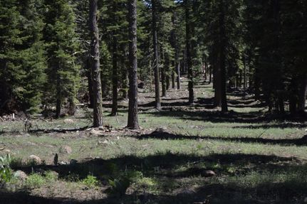 Undeveloped Land in Modoc County, California